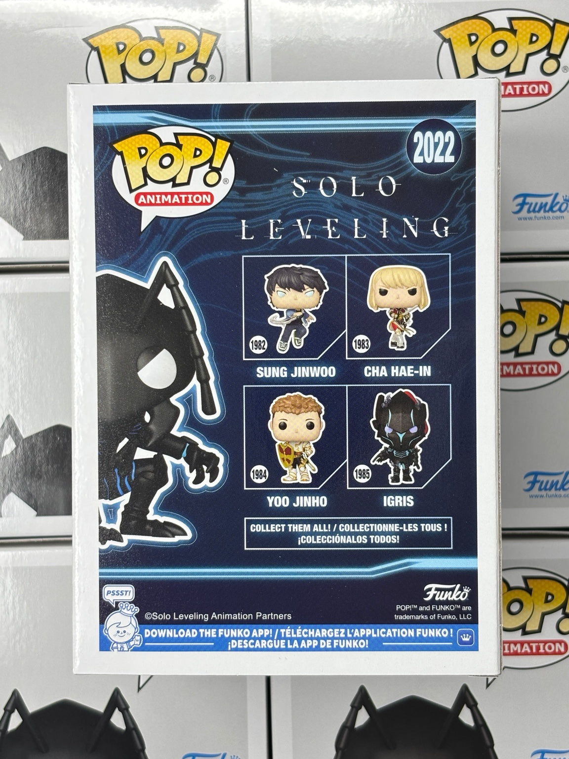 Beru #2022 Glow in the Dark – back of box